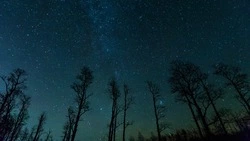 Гороскоп на 9 сентября 2024: что говорят астрологи