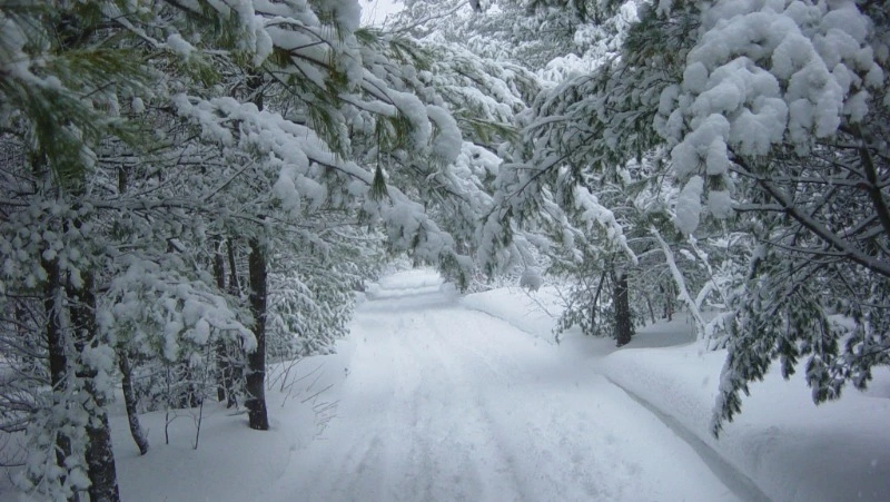 Снег и 20-градусные морозы ожидаются в Сахалинской области 15 декабря