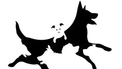 Вы называете количество собак на картинке, а мы — ваш умственный возраст — ТЕСТ