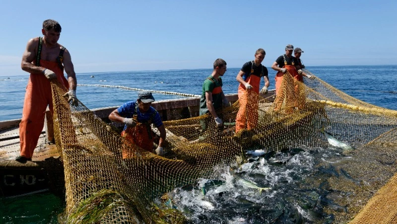 «По коробу поскребли, по сусеку помели»...