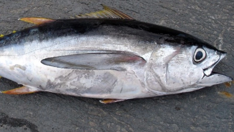 2 мая: какой сегодня праздник, что было в этот день