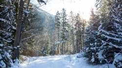 Народные приметы на 12 февраля 2025 — что нельзя делать в этот день