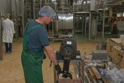 Завод по переработке сельди и производство удобрений  появятся на Сахалине