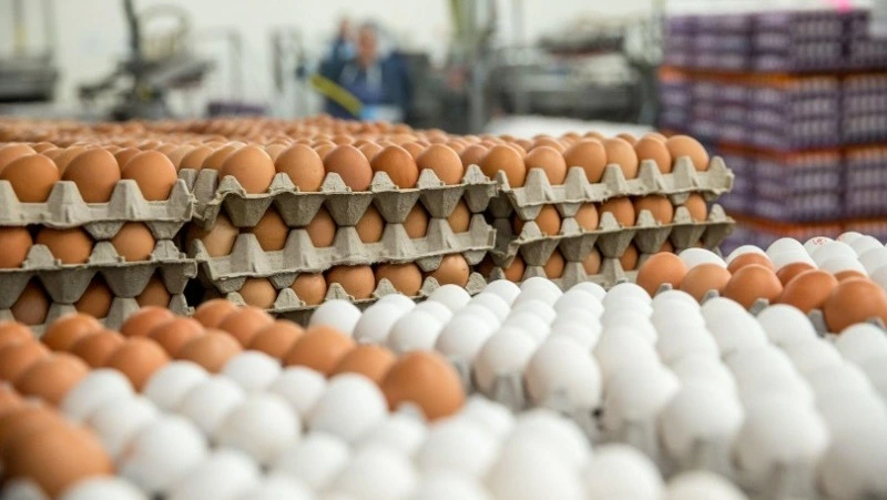 Увеличение производства яиц повлияло на годовую инфляция в Сахалинской области