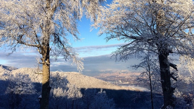 Народные приметы на 7 февраля — что нельзя делать в этот день