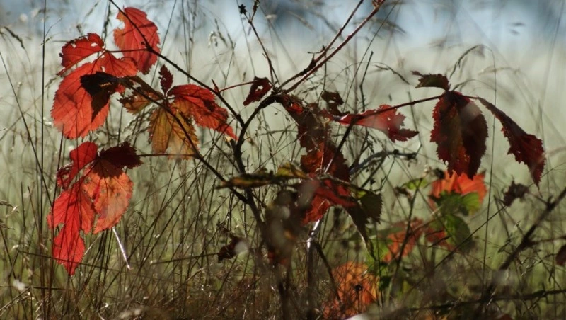 Народные приметы на 22 октября — что нельзя делать в этот день