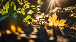 Погода 25 сентября 2023 года в Сахалинской области