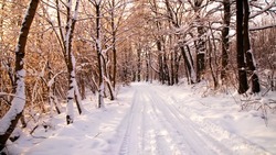 Волны тепла и холода: прогноз погоды в Сахалинской области на неделю