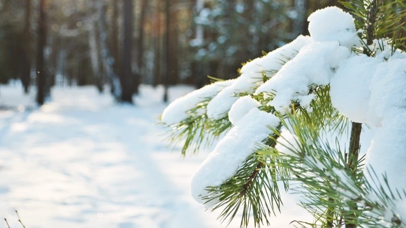 Церковный праздник 11 февраля 2024: что нельзя делать в этот день