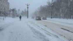 Сильная метель ожидается в Сахалинской области 24 января