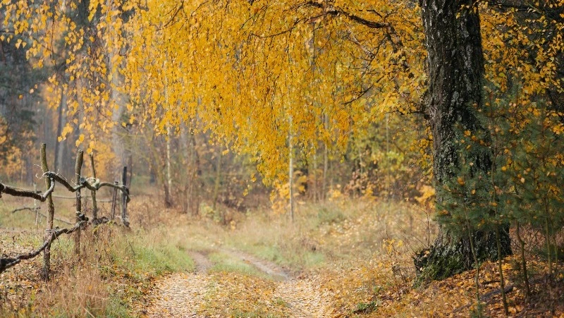 Народные приметы на 22 сентября — что нельзя делать в этот день