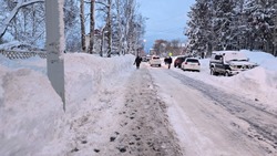 Снег и метель ожидаются в Сахалинской области 7 февраля