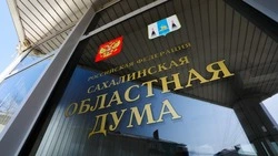 Депутаты рассмотрели изменения в «социальные» законы Сахалинской области 