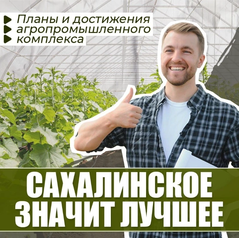 Сахалинцы и курильчане предпочитают местное