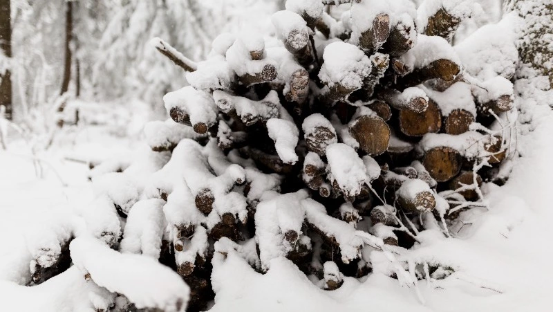 Народные приметы на 6 февраля — что нельзя делать в этот день