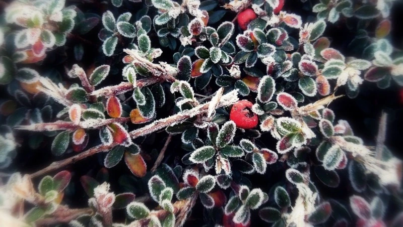 Церковный праздник 22 ноября 2023: что нельзя делать в этот день