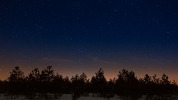 Гороскоп на 17 мая 2025: что ждет каждый знак зодиака?