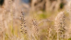 Народные приметы на 11 июня 2025 — что нельзя делать в этот день