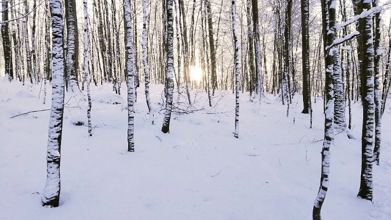 Народные приметы на 27 января — что нельзя делать в этот день