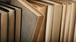 Тест на знания: сможете набрать 9/9 и сдать ЕГЭ по литературе?