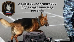 Открытки на День кинолога 2024