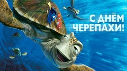 С Всемирным днем черепахи 2025: забавные и яркие картинки