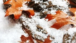 Холодный ветер и местами снег: погода на Сахалине и Курилах 1 ноября