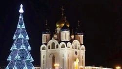 Необычные факты о новогодних ёлках на улицах Южно-Сахалинска