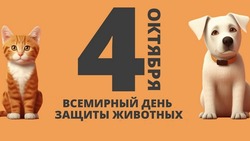 Всемирный день защиты животных 2024: подборка картинок и открыток