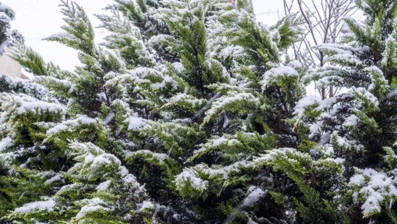 Народные приметы на 29 февраля — что нельзя делать в этот день