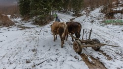 Народные приметы на 29 марта 2025 — что нельзя делать в этот день