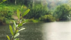 Прогноз погоды на Сахалине и Курилах: антициклон на выходных, дожди — к середине недели