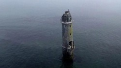 Россия разрешила японцам добывать морскую капусту у Южных Курил 