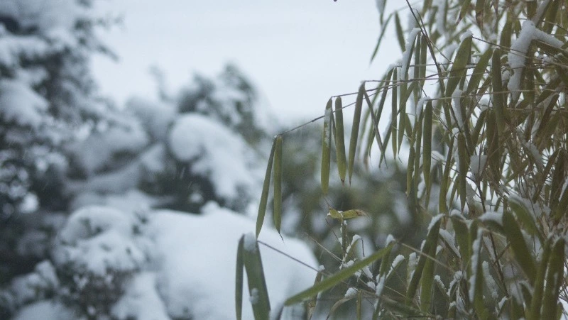 Церковный праздник 30 декабря 2023: что нельзя делать в этот день