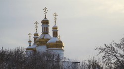 8 ноября 2024 — Дмитриев день: традиции, обычаи и запреты праздника