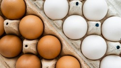 В Сахалинской области растут объёмы производства куриных яиц  