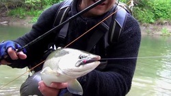 Арендаторам рыболовных участков напомнили о законных правах рыболовов-любителей 