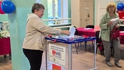 Эксперт: первый день выборов губернатора Сахалинской области прошел без нарушений