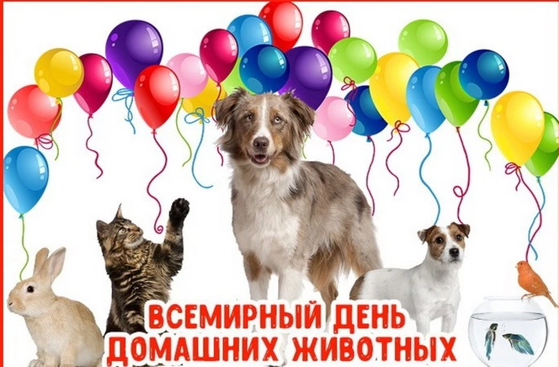 Картинки и открытки на Всемирный день домашних животных 2024