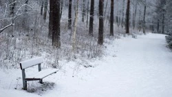 Небольшой снег и до -15 градусов: погода на Сахалине и Курилах 13 ноября