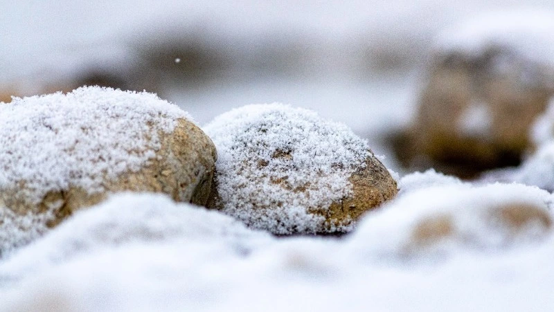 Свежий ветер и метель: прогноз погоды в Сахалинской области 19 марта