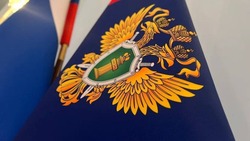 День работника прокуратуры 2025: история праздника и лучшие идеи для поздравлений
