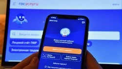 Сервис по оформлению налоговых вычетов запустили на портале госуслуг