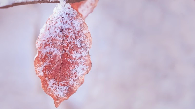 Церковный праздник 20 ноября 2023: что нельзя делать в этот день