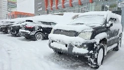 Метель и сильный снег: прогноз погоды в Сахалинской области на 6 февраля