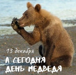 С Днем медведя 2024: картинки и открытки к 13 декабря