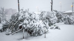 Снег и сильный мороз: прогноз погоды в Сахалинской области на 16 января