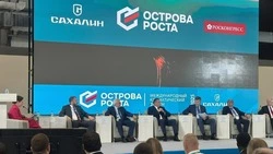 Сахалинская область стала углеродно-нейтральной