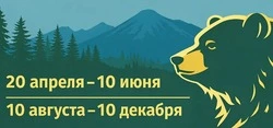В Сахалинской области разрешили дольше охотиться на медведя