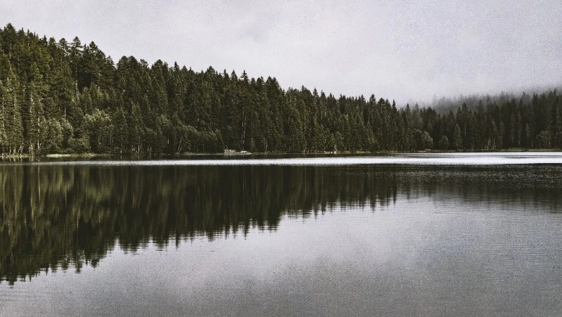 Церковный и народный праздник 23 июня 2024 года: что нельзя делать в этот день